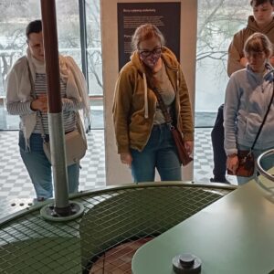 IMG_20250314_113025