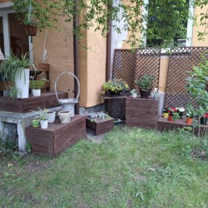 IMG-20260519-WA0004