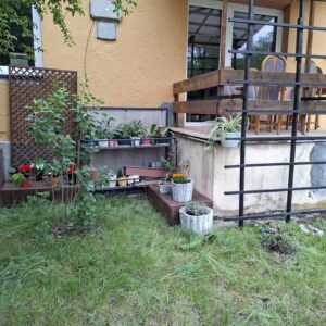 IMG-20260519-WA0005