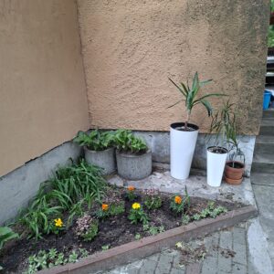 IMG-20260519-WA0008
