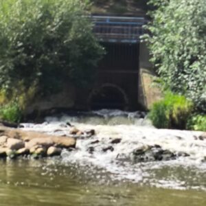 IMG-20260819-WA0007