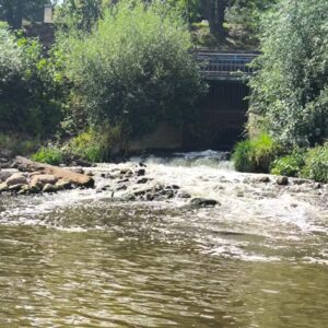 IMG-20260819-WA0009