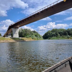 IMG-20260819-WA0049