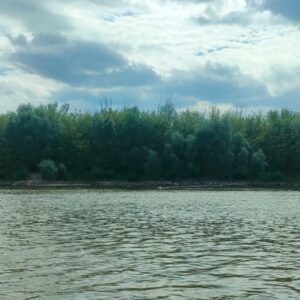 IMG-20260820-WA0003
