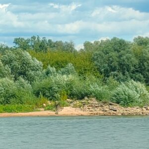 IMG-20260820-WA0022