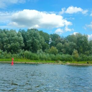 IMG-20260820-WA0031