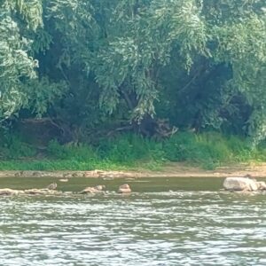 IMG-20260820-WA0034