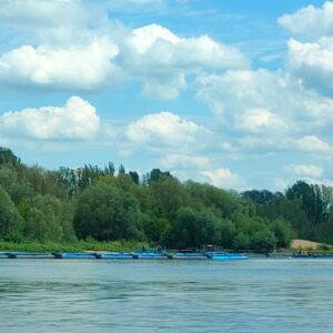 IMG-20260820-WA0041