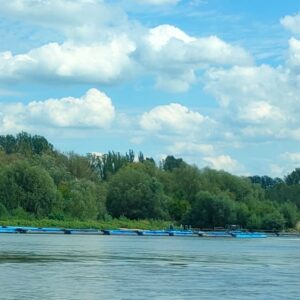 IMG-20260820-WA0047