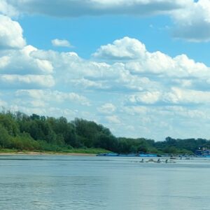 IMG-20260820-WA0048