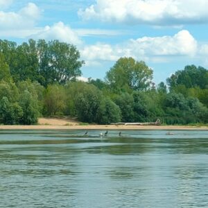 IMG-20260820-WA0055