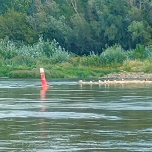 IMG-20260820-WA0057
