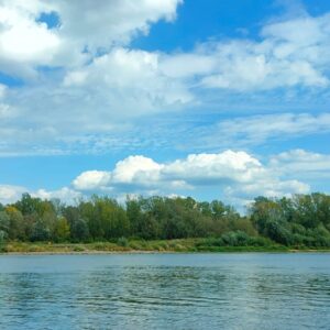 IMG-20260820-WA0062