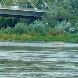 IMG-20260820-WA0082